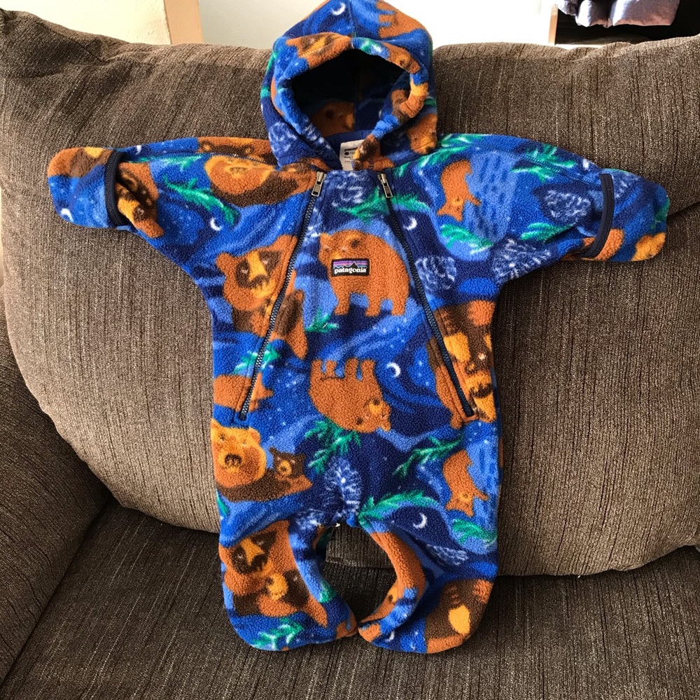 Patagonia bunting